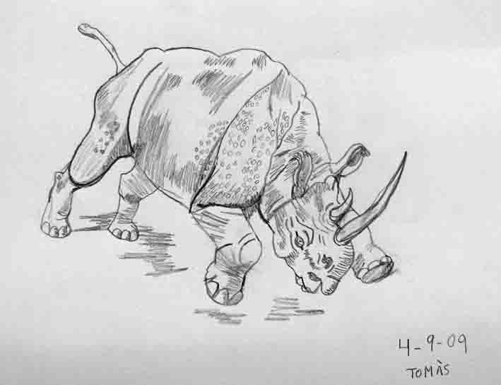 rino tomas