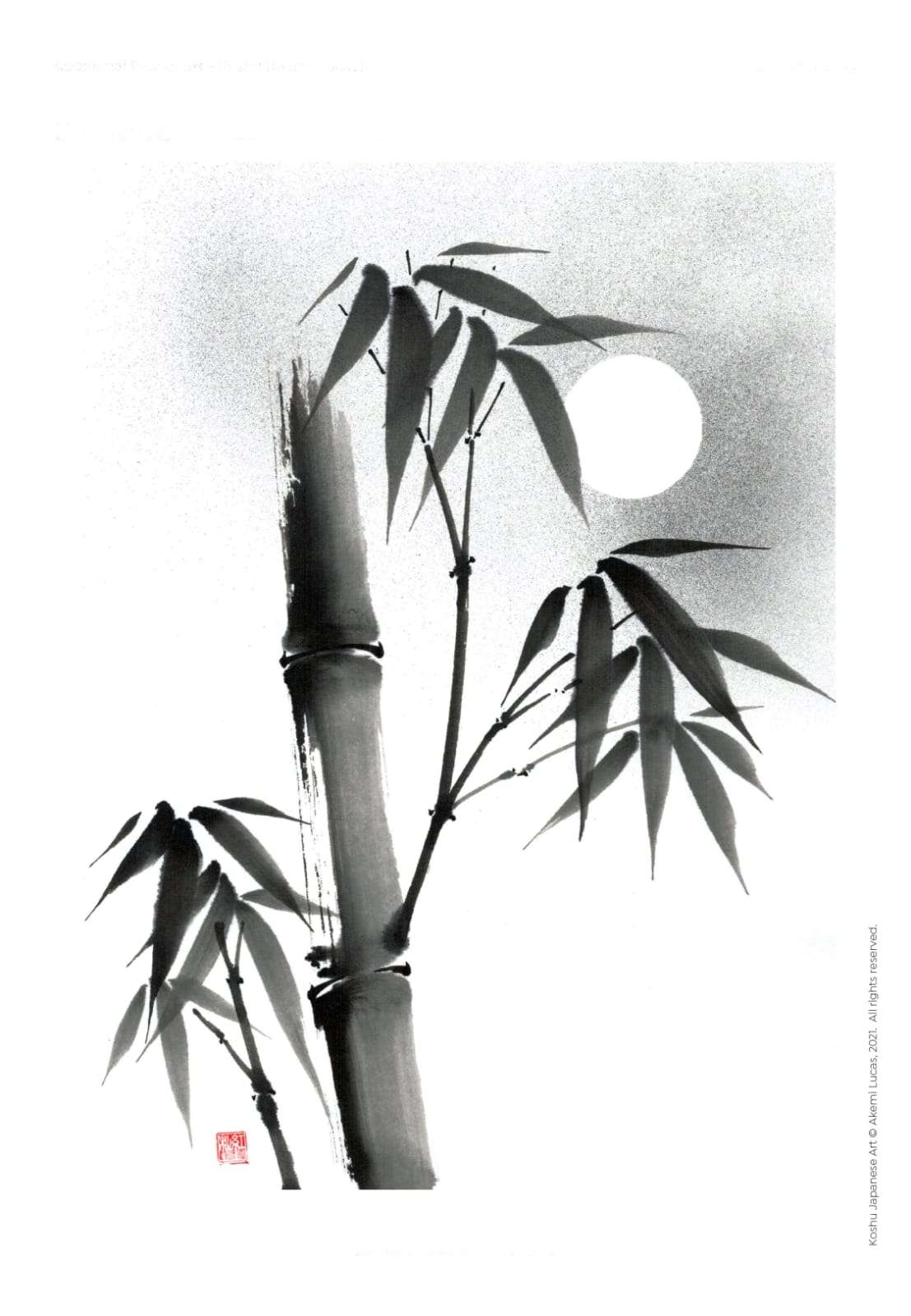 Foto curso SUMI E